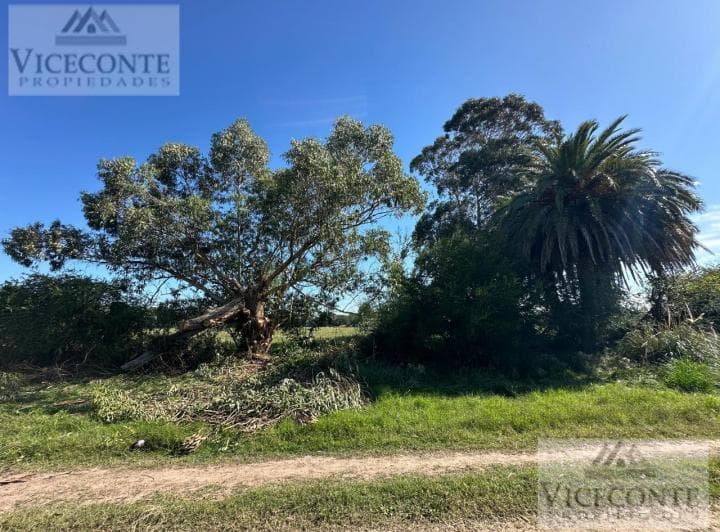 Lote 4322 m&sup2; en Chascomús, Provincia de Buenos Aires - 5