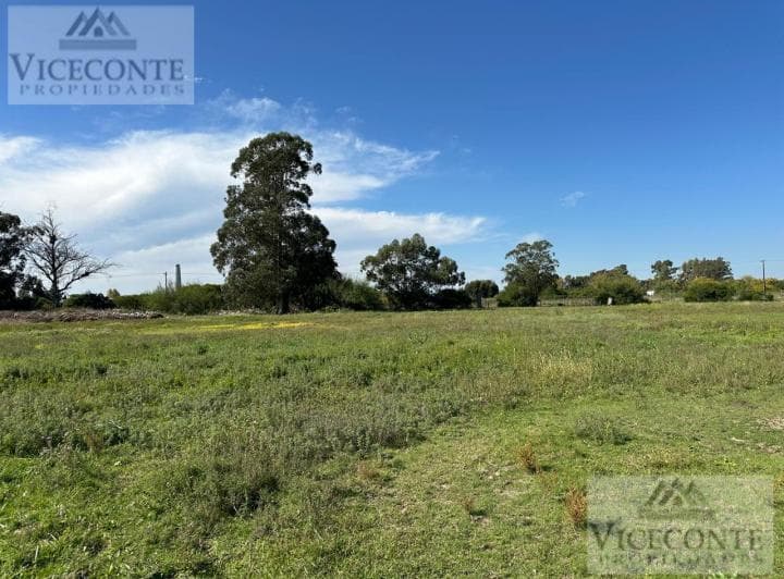 Lote 4322 m&sup2; en Chascomús, Provincia de Buenos Aires - 2