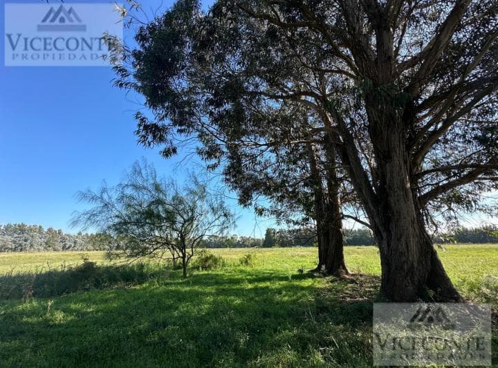 Lote 4322 m&sup2; en Chascomús, Provincia de Buenos Aires - 3