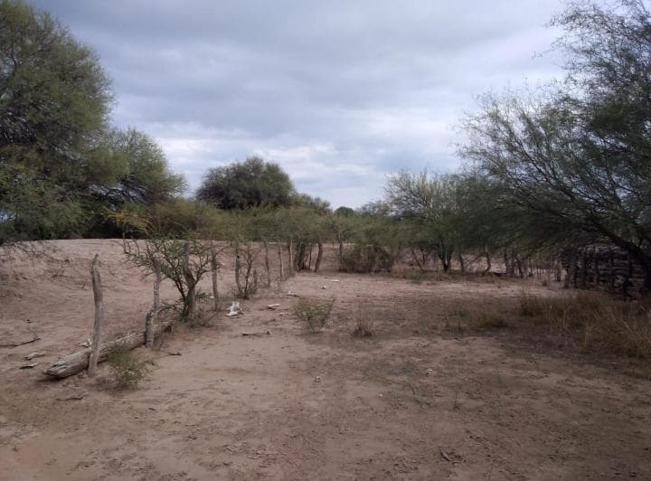 Venta 10.200 Hectáreas en Chepes La Rioja - 3