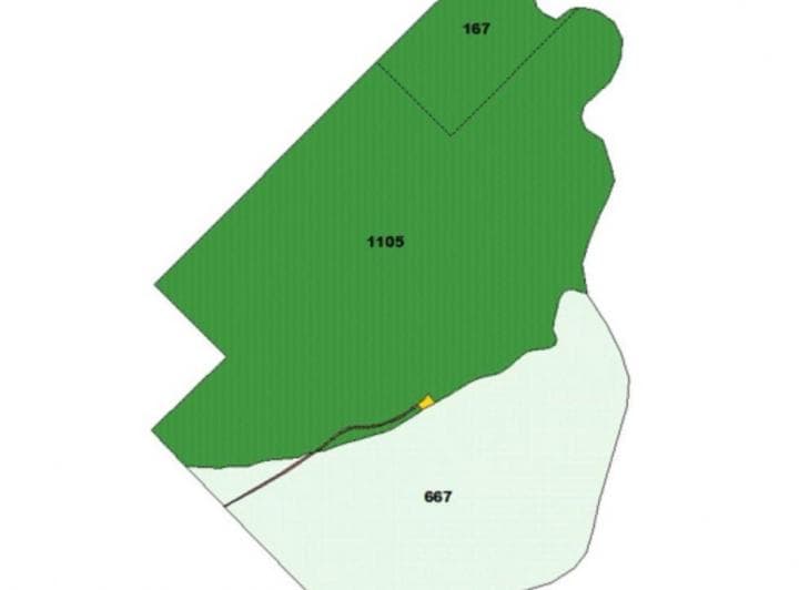 Campo 1900 Hectáreas |. | Colonia Benitez 1900 Ha Al 100 - 2