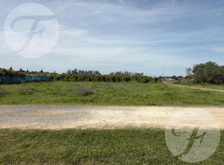 Venta de Terreno Para Vivienda Familiar - Barrio Escorial de San Pedro - 3