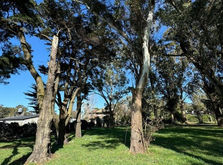 Terreno a La Venta en Santa Celina - 2