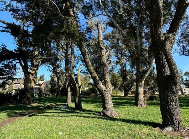 Terreno a La Venta en Santa Celina - 3