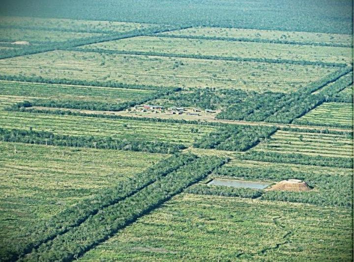 62.000 Hectáreas en Alto Paraguay - 2