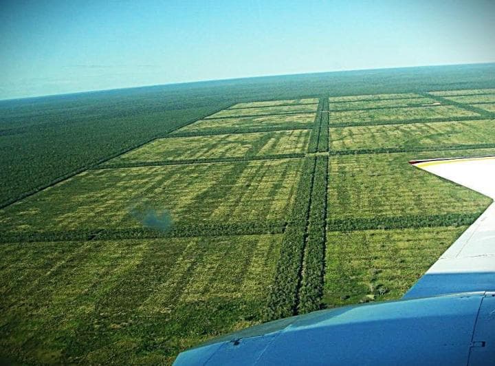 62.000 Hectáreas en Alto Paraguay - 3