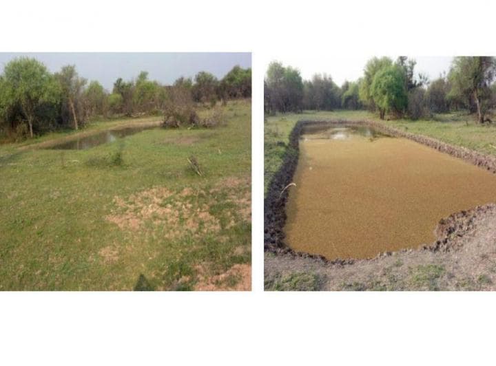 Campo Ganadero de 2.217 ha en Las Lomitas – Bañado La Estrella, Formosa - 3
