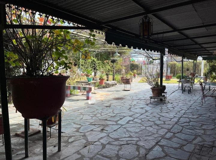 Terreno en Venta 10 X 20 con Casa a Refaccionar o Demoler - 5