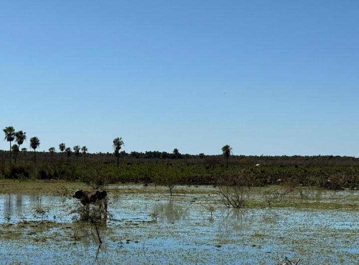 Campo Ganadero en Basail - 5