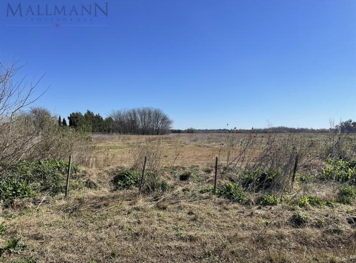 Venta Parcela 14,22 Hectáreas Zona Polo Centauros, General Rodríguez - 4
