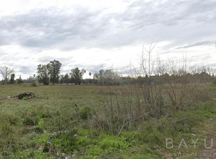Venta Fracción 8 Has - Acceso Oeste - Gral Rodriguez - 5