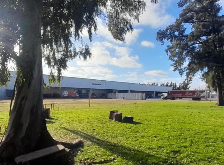 Nave Logística en Alquiler | Benavidez | 30.000 m² con Racks - 5
