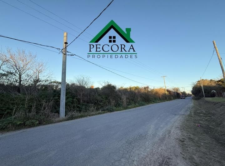 Campo 2,46ha - Terreno - Escobar - Tiziano Entre Las Heras y San Lorenzo. - 4