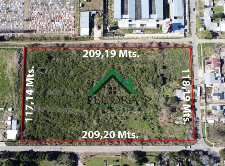 Campo 2,46ha - Terreno - Escobar - Tiziano Entre Las Heras y San Lorenzo. - 2