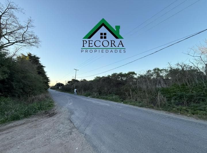 Campo 2,46ha - Terreno - Escobar - Tiziano Entre Las Heras y San Lorenzo. - 3