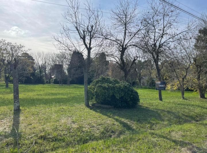 Lote Venta Parque Las Naciones Guernica - 3