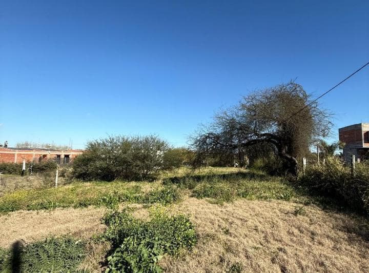 Se Vende Amplio Terreno Sobre Lopez Jordan Zona Acceso Norte - 3