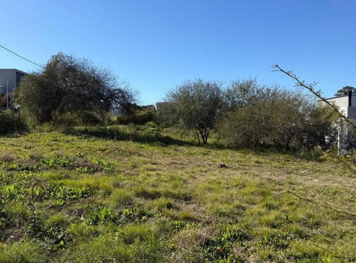 Se Vende Amplio Terreno Sobre Lopez Jordan Zona Acceso Norte - 2