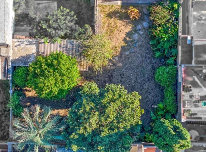 Casa 3 Dorm., Cocina Separada, Enorme Jardin, Abasto - 4