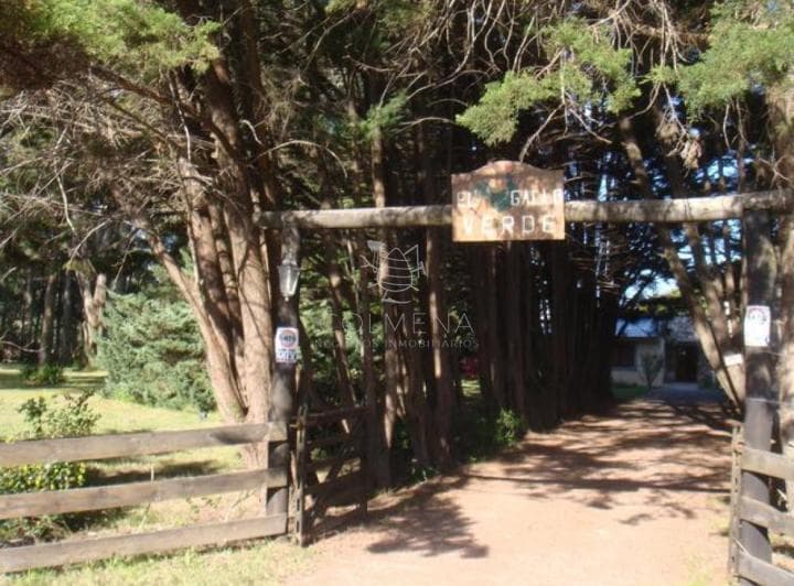 Camino Lussich, Punta Ballena - 2