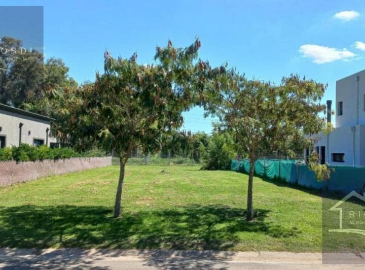 Terreno - San Ramon - 5
