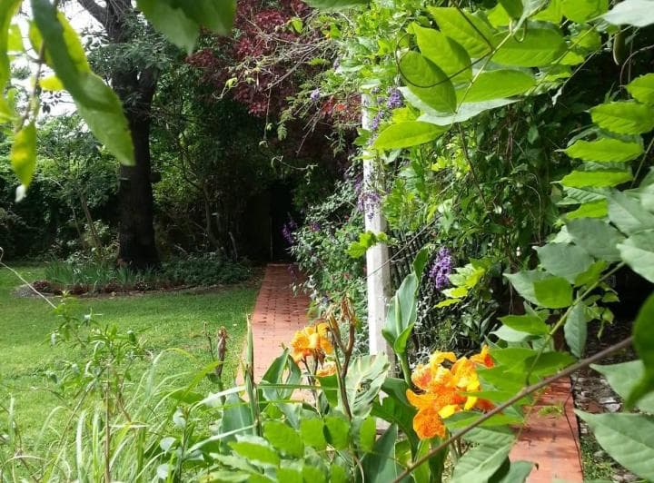 Casa Quinta - 2