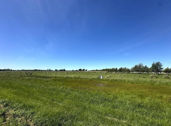 Quinta Chacra en Venta Uribelarrea 4 Ha - 2