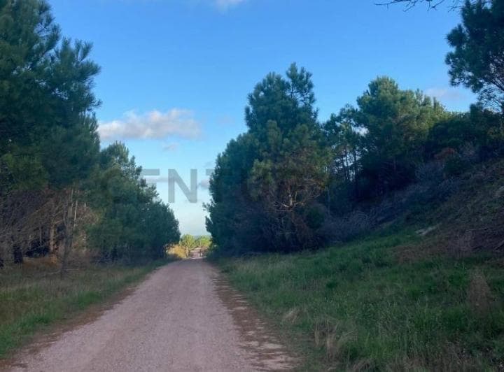 Venta 4 Terrenos La Esmeralda - 5