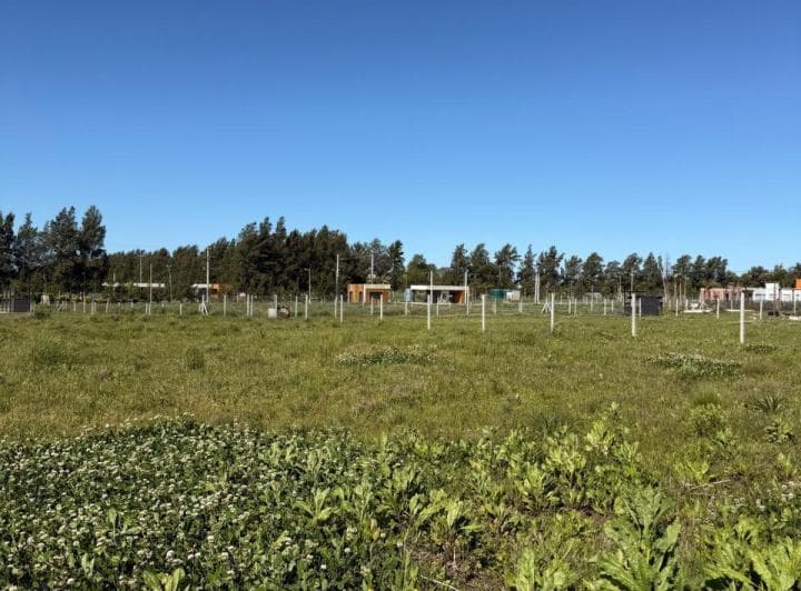 Terreno en Venta, Praderas 1, Los Cardales - 5