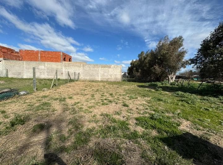 Lote en Calle 58 (15 y 13) con Luz y Gas - 4