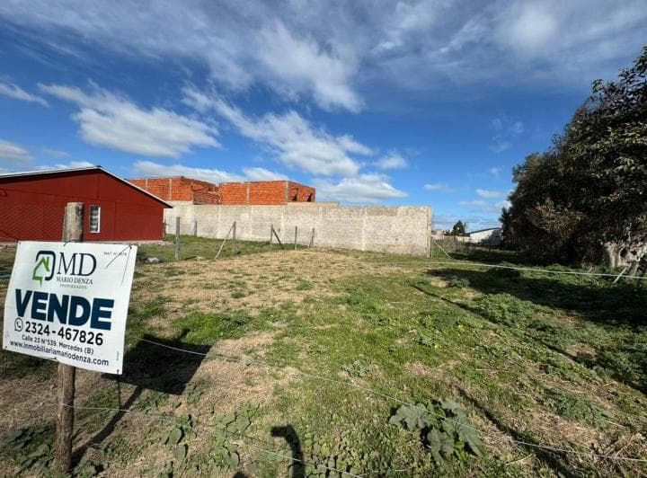Lote en Calle 58 (15 y 13) con Luz y Gas - 2