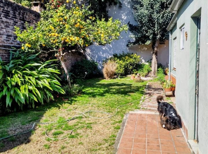 Excelente Inmueble Para Desarrollo Inmobiliario o Inversión - 5