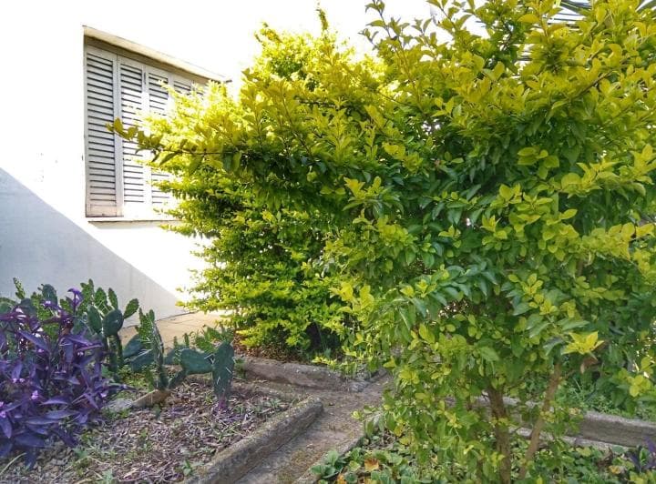 Casa en Venta - Laguna Paiva - 3