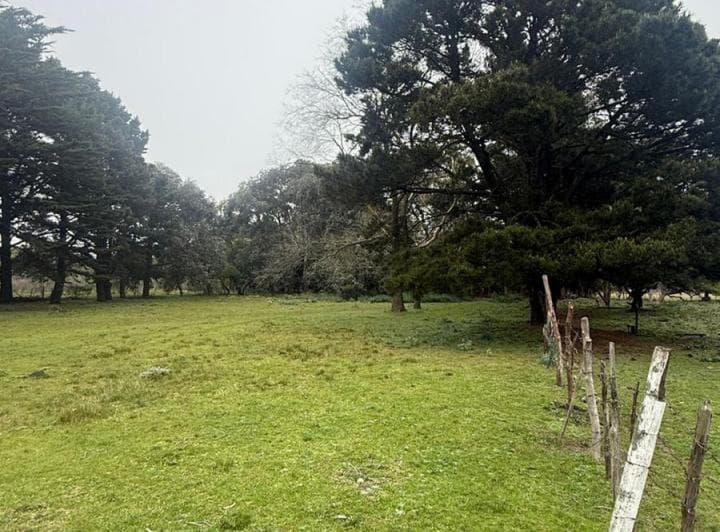 Terreno en Jorge Newbery - 4
