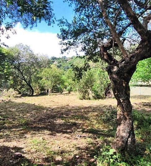 Terreno en Venta - Rio Ceballos - Bella Vista - 3