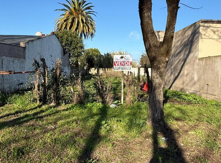 En Venta Terreno 433 m² Sobre Asfalto Saladillo - 2
