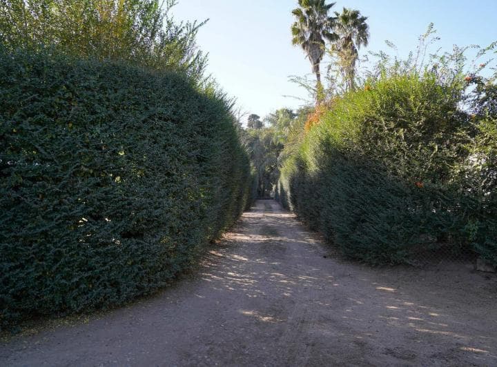 Casa en Venta en Inaudi. gran Jardín. Pileta. Apto Crédito. Corazón de Manzana - 2