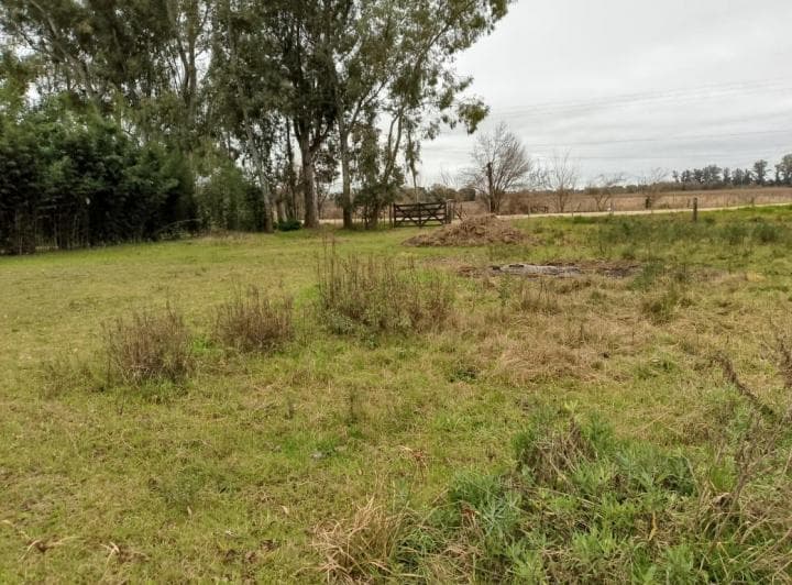 Venta Lote en Oportunidad Zarate - 2