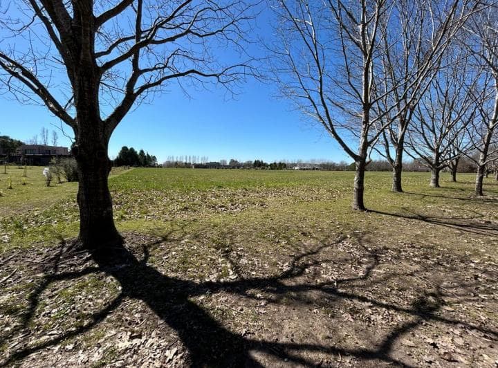 Venta - Lote - Barrio La Macarena - Exaltacion de La Cruz - 2