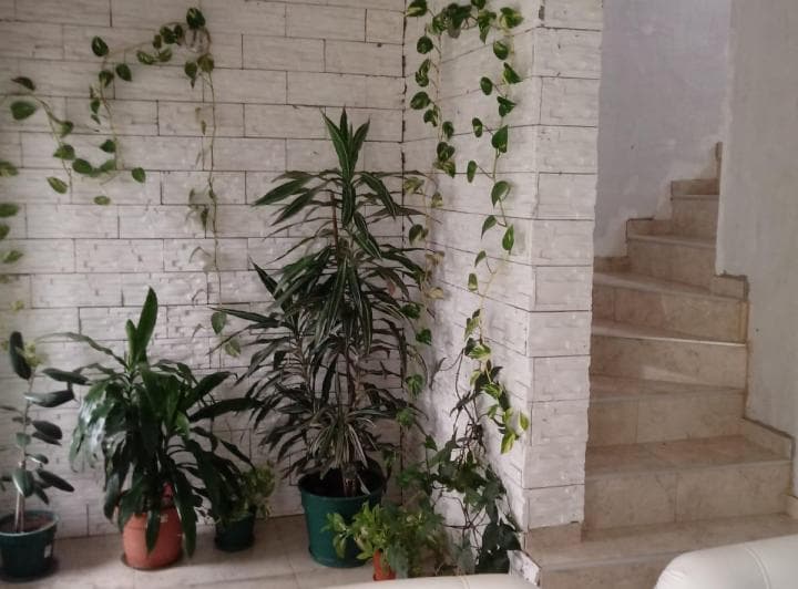 Casa en Barrio Los Frutales de La Ciudad de Plottier. - 4