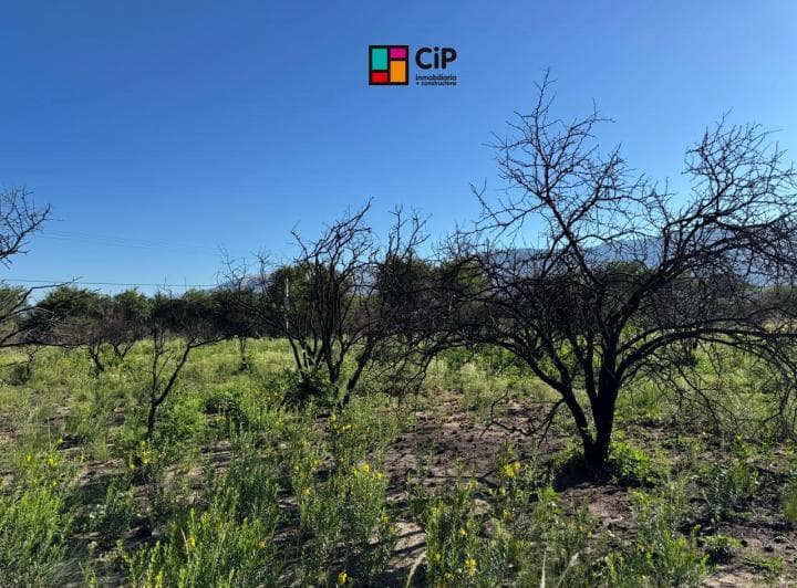 Venta de Lotes a Minutos Dique Piscu Yaco - 5
