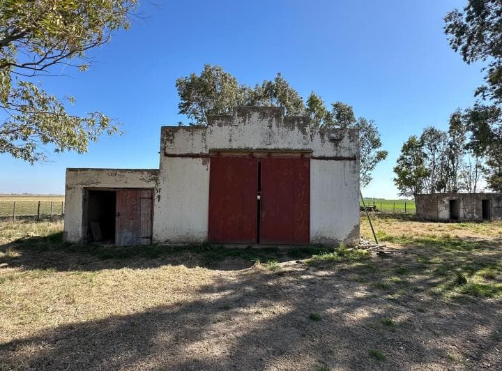 Campo de 200 Has, Villa Iris, Provincia de Buenos Aires. - 4