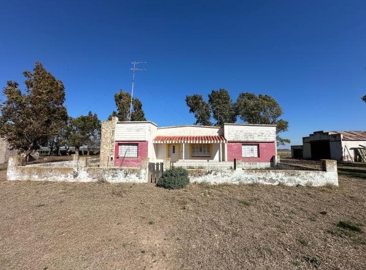 Campo de 200 Has, Villa Iris, Provincia de Buenos Aires. - 5