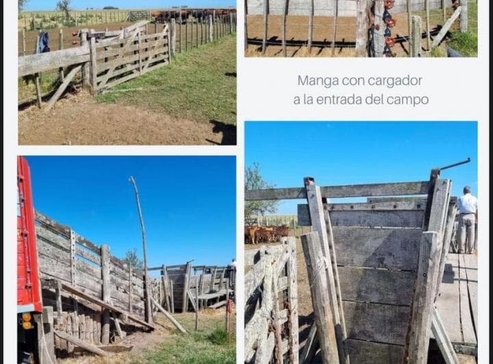 Campo en Dolores - 4