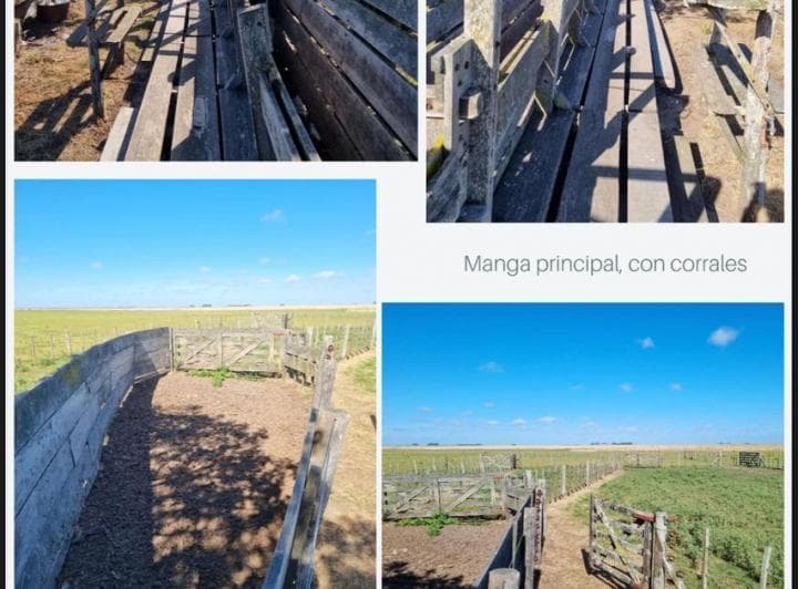 Campo en Dolores - 2
