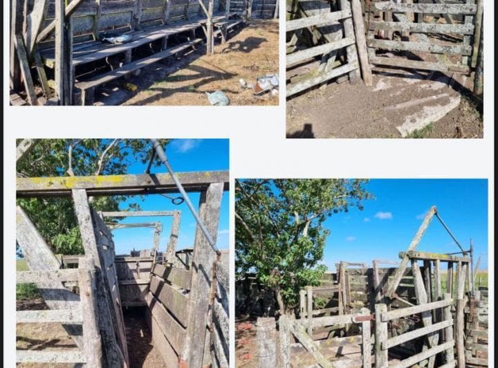 Campo en Dolores - 3