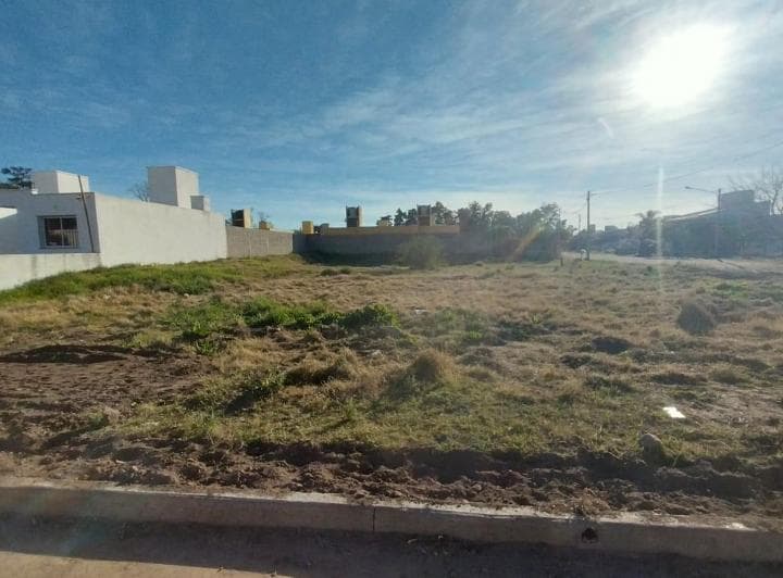 Oportunidad Lote en Venta - Colonia Caroya Calle 42 °1.179 - 4
