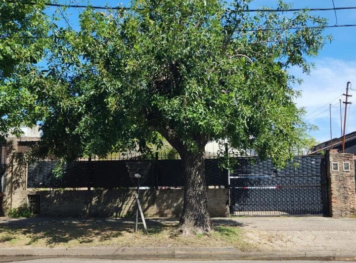 Venta Casa 3 Amb Jose Marmol - 3