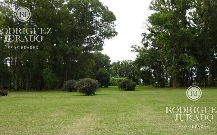Terreno - Haras San Pablo - 4