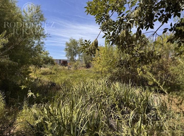 Lote Para Desarrollo en Venta Benavidez - 5